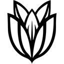 Bloom.host logo